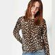 Nwt Equipment Shirley Leopard-print Long-sleeved Silk/cashmere Sweater / Top -xs